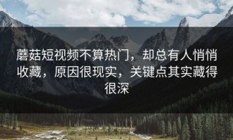 蘑菇短视频不算热门，却总有人悄悄收藏，原因很现实，关键点其实藏得很深