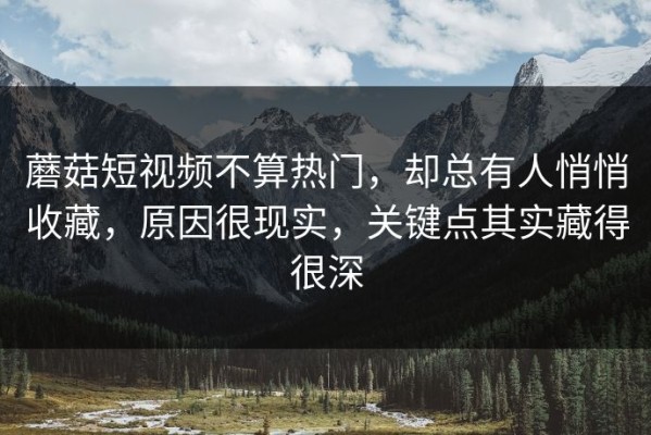 蘑菇短视频不算热门，却总有人悄悄收藏，原因很现实，关键点其实藏得很深