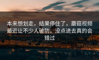 本来想划走，结果停住了，蘑菇视频最近让不少人破防，没点进去真的会错过