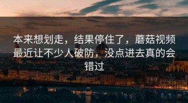 本来想划走，结果停住了，蘑菇视频最近让不少人破防，没点进去真的会错过