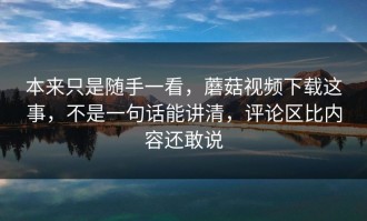 本来只是随手一看，蘑菇视频下载这事，不是一句话能讲清，评论区比内容还敢说