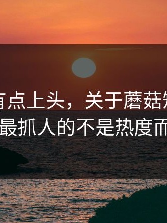 说实话有点上头，关于蘑菇短视频说白了，最抓人的不是热度而是细节
