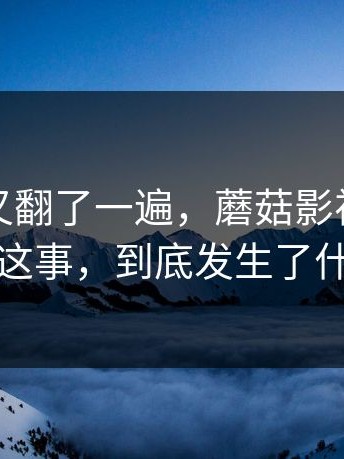 忍不住又翻了一遍，蘑菇影视在线观看这事，到底发生了什么