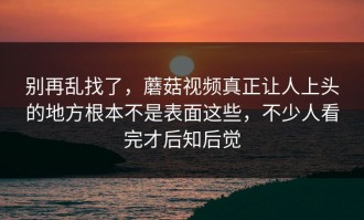 别再乱找了，蘑菇视频真正让人上头的地方根本不是表面这些，不少人看完才后知后觉