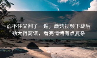 忍不住又翻了一遍，蘑菇视频下载后劲大得离谱，看完情绪有点复杂
