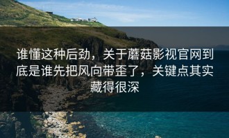 谁懂这种后劲，关于蘑菇影视官网到底是谁先把风向带歪了，关键点其实藏得很深