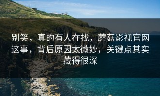 别笑，真的有人在找，蘑菇影视官网这事，背后原因太微妙，关键点其实藏得很深