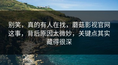 别笑，真的有人在找，蘑菇影视官网这事，背后原因太微妙，关键点其实藏得很深