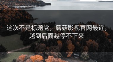 这次不是标题党，蘑菇影视官网最近，越到后面越停不下来