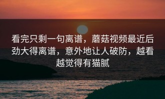 看完只剩一句离谱，蘑菇视频最近后劲大得离谱，意外地让人破防，越看越觉得有猫腻