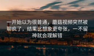 一开始以为很普通，蘑菇视频突然被聊疯了，结果比想象更夸张，一不留神就会理解错