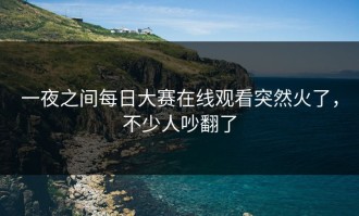 一夜之间每日大赛在线观看突然火了，不少人吵翻了