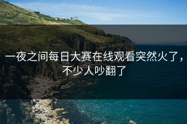 一夜之间每日大赛在线观看突然火了，不少人吵翻了