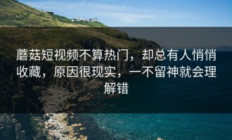 蘑菇短视频不算热门，却总有人悄悄收藏，原因很现实，一不留神就会理解错