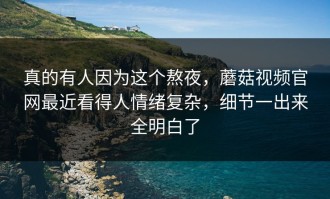 真的有人因为这个熬夜，蘑菇视频官网最近看得人情绪复杂，细节一出来全明白了