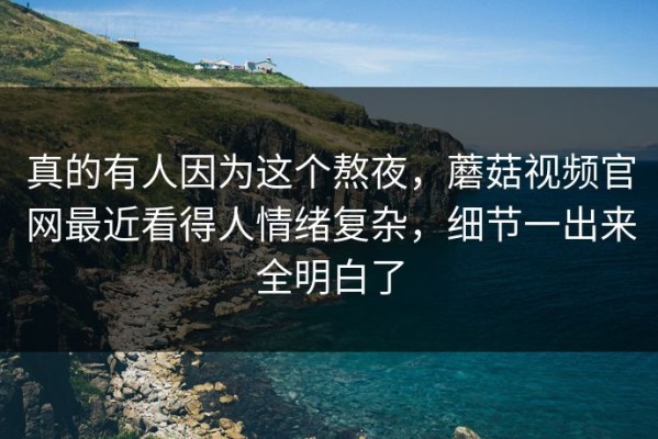 真的有人因为这个熬夜，蘑菇视频官网最近看得人情绪复杂，细节一出来全明白了