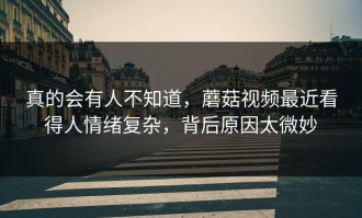 真的会有人不知道，蘑菇视频最近看得人情绪复杂，背后原因太微妙