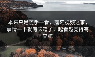 本来只是随手一看，蘑菇视频这事，事情一下就有味道了，越看越觉得有猫腻
