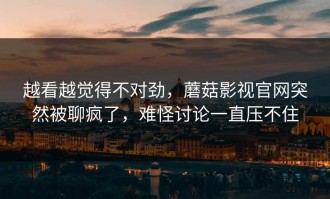 越看越觉得不对劲，蘑菇影视官网突然被聊疯了，难怪讨论一直压不住