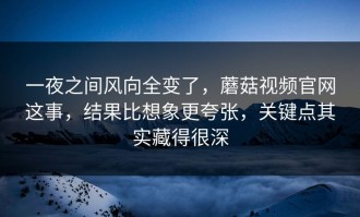 一夜之间风向全变了，蘑菇视频官网这事，结果比想象更夸张，关键点其实藏得很深
