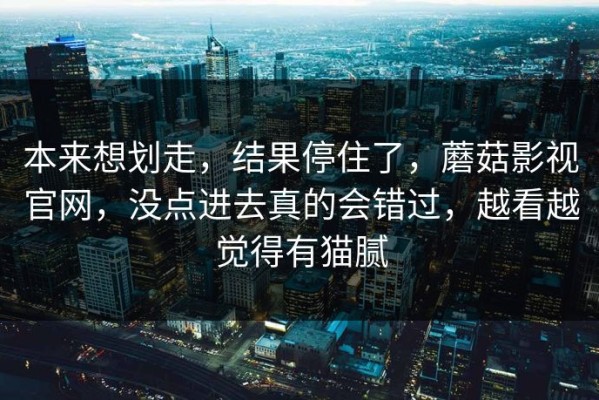 本来想划走，结果停住了，蘑菇影视官网，没点进去真的会错过，越看越觉得有猫腻