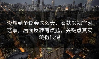没想到争议会这么大，蘑菇影视官网这事，后面反转有点猛，关键点其实藏得很深