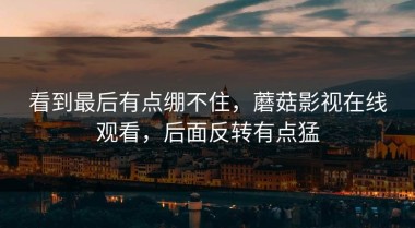 看到最后有点绷不住，蘑菇影视在线观看，后面反转有点猛