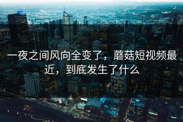 一夜之间风向全变了，蘑菇短视频最近，到底发生了什么