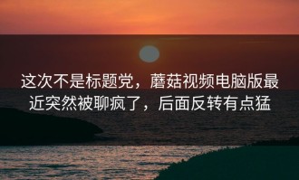 这次不是标题党，蘑菇视频电脑版最近突然被聊疯了，后面反转有点猛