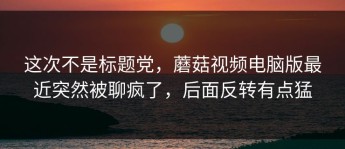 这次不是标题党，蘑菇视频电脑版最近突然被聊疯了，后面反转有点猛