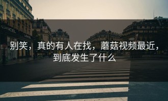 别笑，真的有人在找，蘑菇视频最近，到底发生了什么