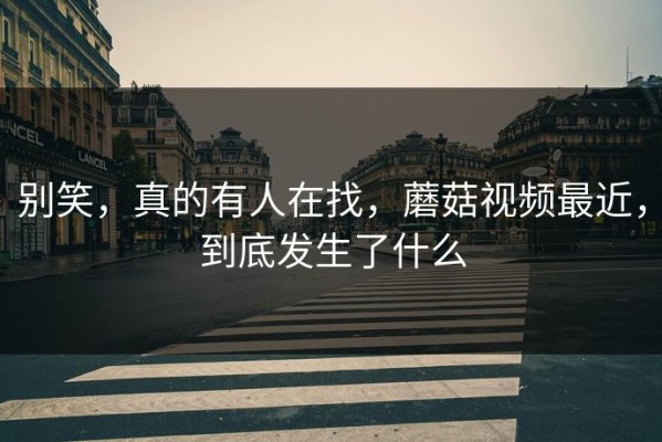 别笑，真的有人在找，蘑菇视频最近，到底发生了什么