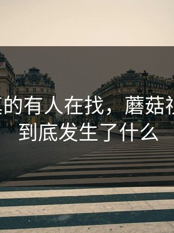 别笑，真的有人在找，蘑菇视频最近，到底发生了什么