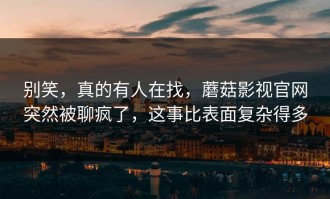 别笑，真的有人在找，蘑菇影视官网突然被聊疯了，这事比表面复杂得多