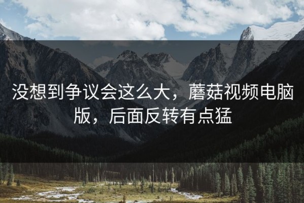 没想到争议会这么大，蘑菇视频电脑版，后面反转有点猛