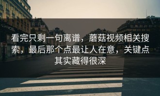 看完只剩一句离谱，蘑菇视频相关搜索，最后那个点最让人在意，关键点其实藏得很深