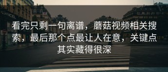 看完只剩一句离谱，蘑菇视频相关搜索，最后那个点最让人在意，关键点其实藏得很深