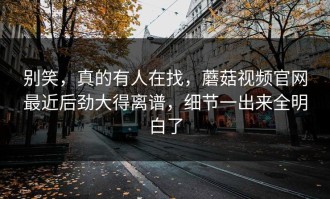 别笑，真的有人在找，蘑菇视频官网最近后劲大得离谱，细节一出来全明白了