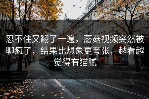 忍不住又翻了一遍，蘑菇视频突然被聊疯了，结果比想象更夸张，越看越觉得有猫腻