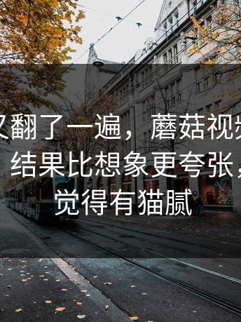 忍不住又翻了一遍，蘑菇视频突然被聊疯了，结果比想象更夸张，越看越觉得有猫腻