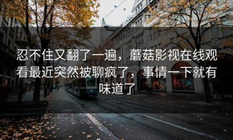 忍不住又翻了一遍，蘑菇影视在线观看最近突然被聊疯了，事情一下就有味道了