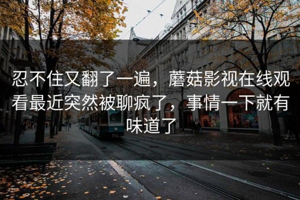 忍不住又翻了一遍，蘑菇影视在线观看最近突然被聊疯了，事情一下就有味道了