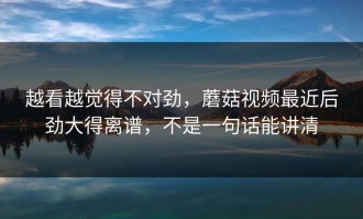 越看越觉得不对劲，蘑菇视频最近后劲大得离谱，不是一句话能讲清
