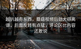 越扒越有东西，蘑菇视频后劲大得离谱，后面反转有点猛，评论区比内容还敢说