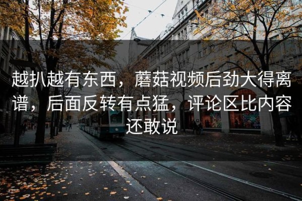 越扒越有东西，蘑菇视频后劲大得离谱，后面反转有点猛，评论区比内容还敢说