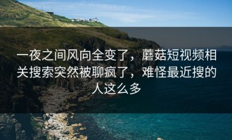 一夜之间风向全变了，蘑菇短视频相关搜索突然被聊疯了，难怪最近搜的人这么多