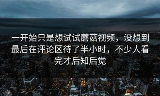 一开始只是想试试蘑菇视频，没想到最后在评论区待了半小时，不少人看完才后知后觉