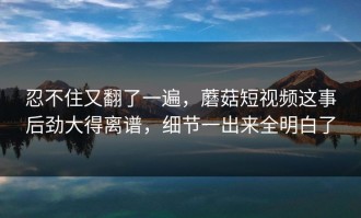 忍不住又翻了一遍，蘑菇短视频这事后劲大得离谱，细节一出来全明白了