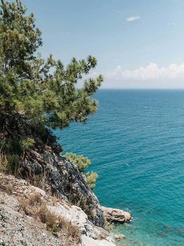 每日大赛ai别只顾着看表面，真正有意思的是冷门玩法，很多人看到最后才反应过来