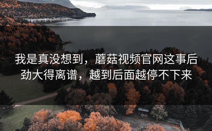 我是真没想到，蘑菇视频官网这事后劲大得离谱，越到后面越停不下来